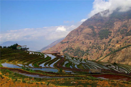 中國新時代攝影家協會攀西分會 喜迎建國71周年 攝影大賽作品展示