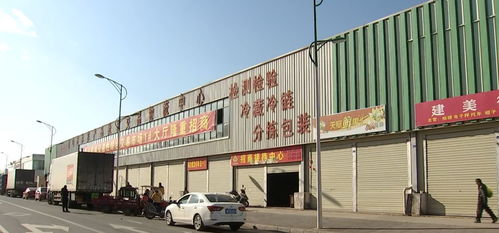 繁花似錦報春來 打造攀西地區最大農產品集散中心