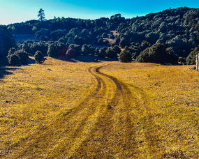 攀西密碼 解讀與恐龍同生代的格薩拉