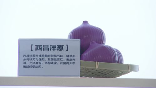 打卡西昌農業版 奧特萊斯 攀西農特產品智慧運營中心成新地標