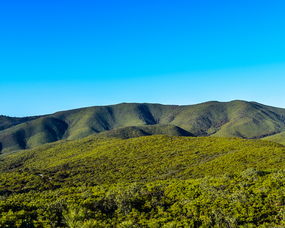 攀西密碼 解讀與恐龍同生代的格薩拉